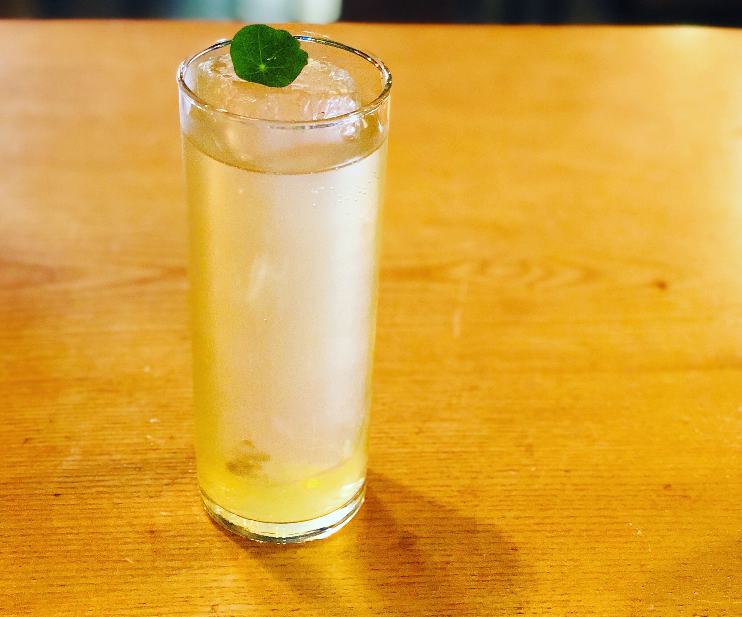 coa-bar-ancho-highball-cocktail